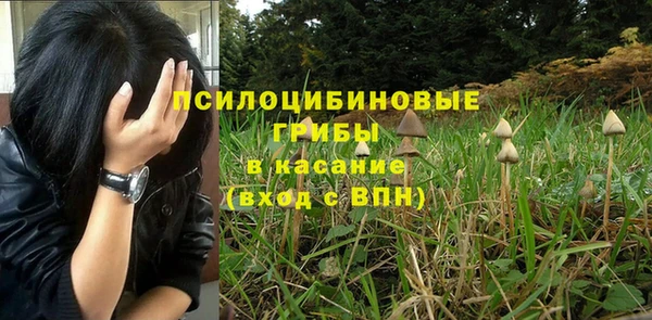 бошки Беломорск