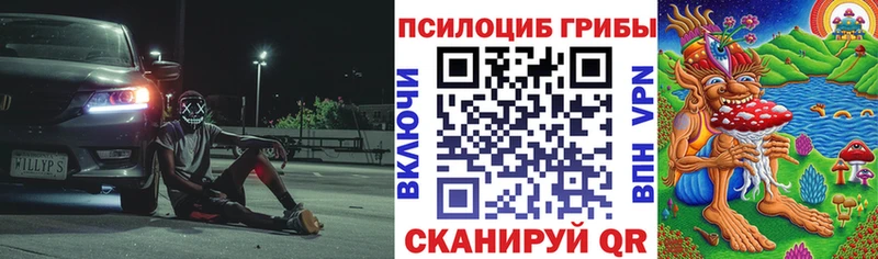 Псилоцибиновые грибы Cubensis  купить   Болотное 