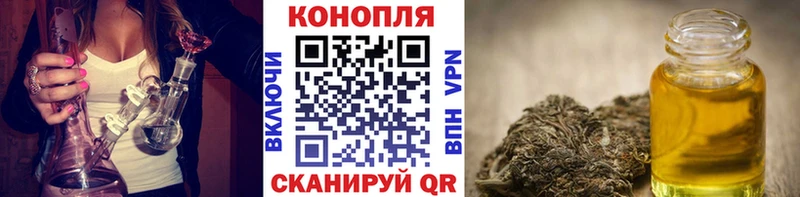 как найти   Болотное  Марихуана конопля 